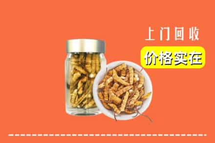 收购资讯:眉山青神回收散虫草