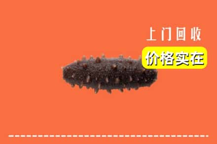 收购资讯:眉山青神回收海参