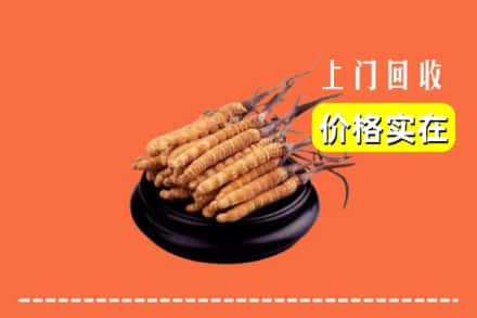 收购资讯:眉山青神回收冬虫夏草